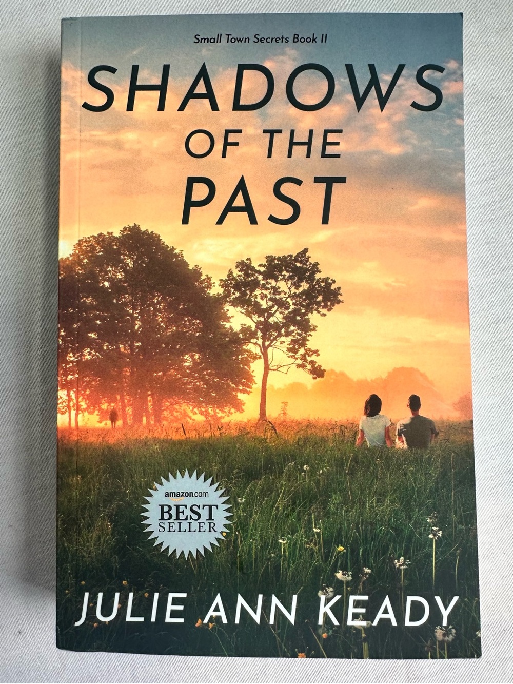 "Shadows of the Past" Paperback - Sunset Green Cover